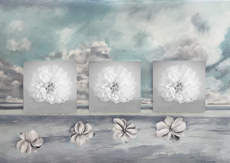 Nancy Staub Laughlin: Between Pastel and Lens