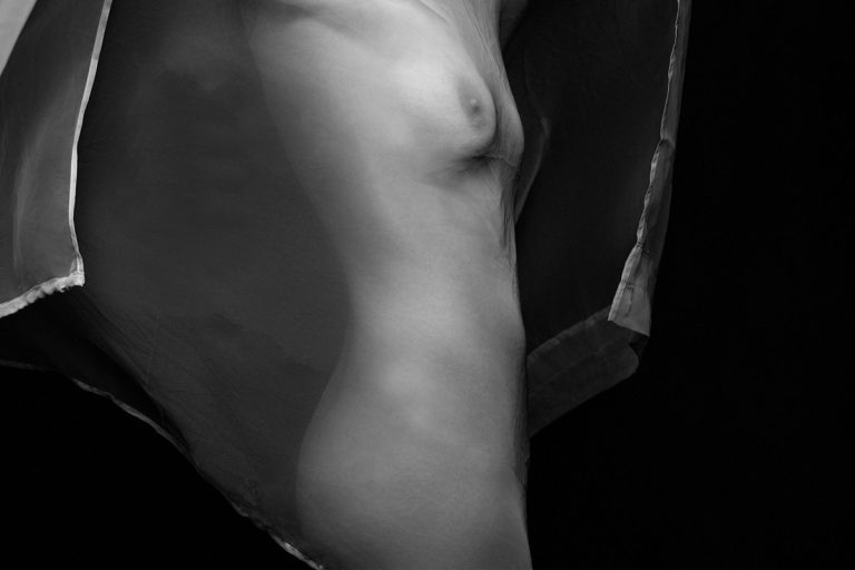 Pam Fields: Revealing the Unguarded Self